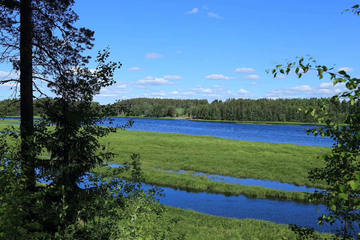 Oulujoki ja vihreät jokirannat Muhoksella kesäpäivänä.